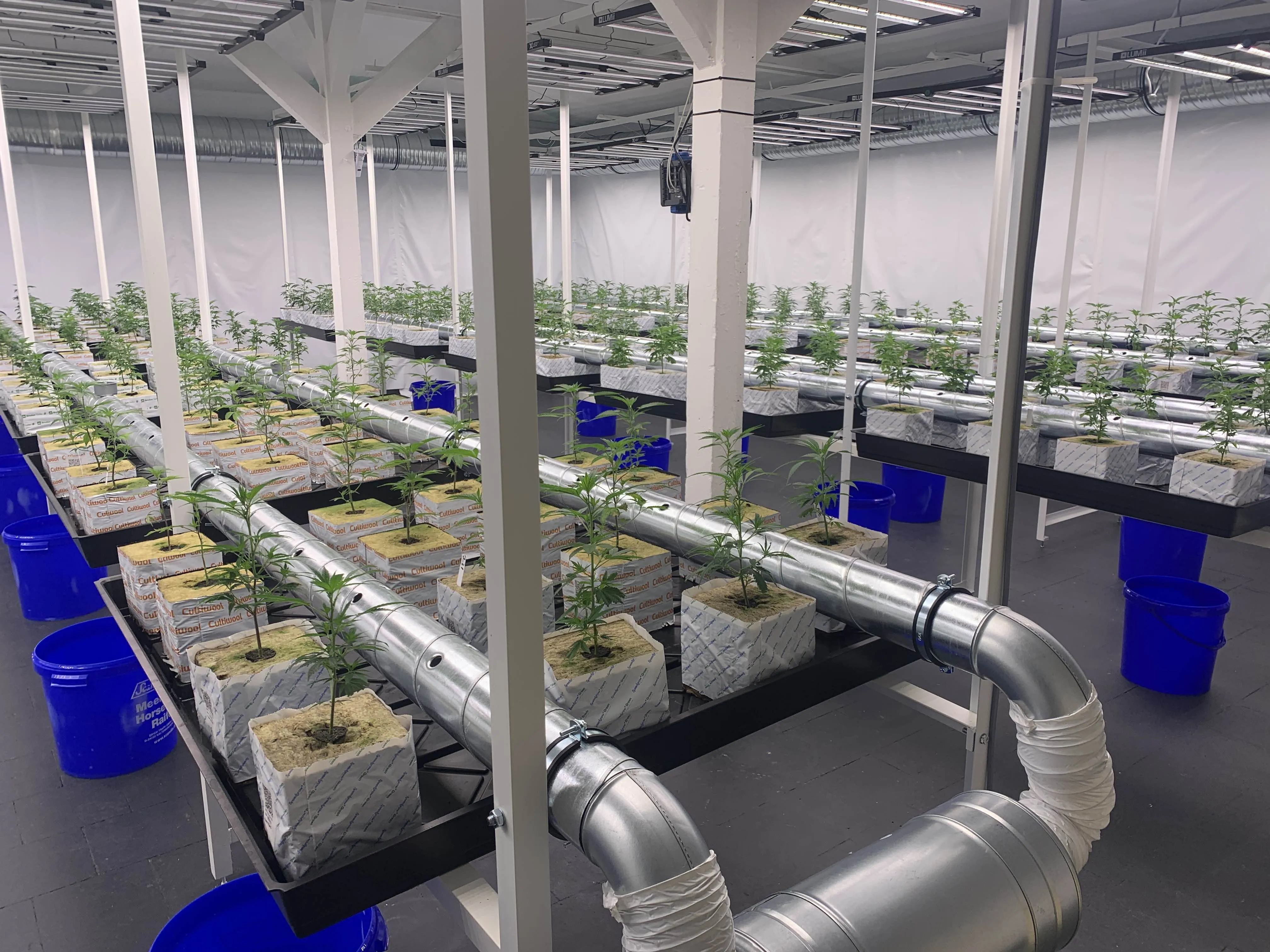 Anbaufläche der Sweeds e.V. mit Hydroponik-System und Lüftungsinfrastruktur